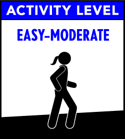 activity level moderate-difficult;
