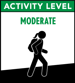 activity level moderate;