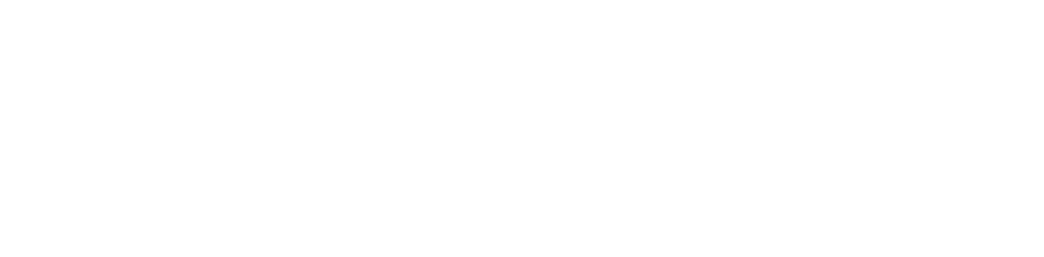 Flex Pay