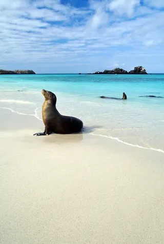 2026 Galapagos Adventure Cruise