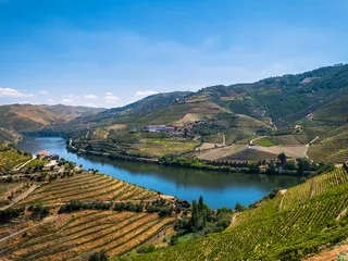 2026 Portugal Douro River Cruise