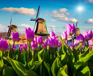 2027 Amsterdam to Switzerland Riverboat Cruise